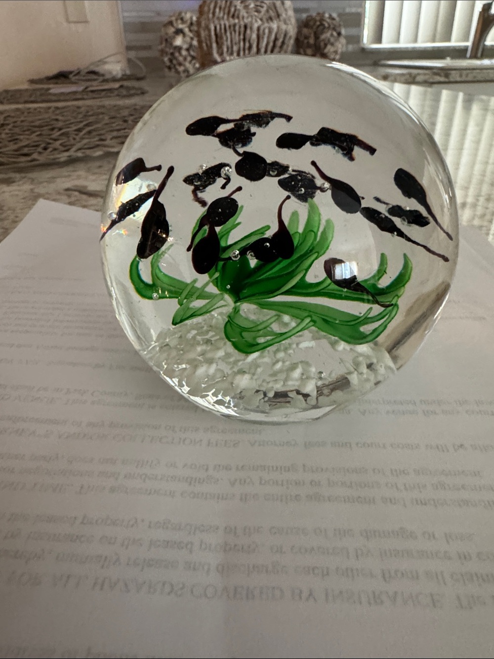 Dynasty Gallery Heirloom Collectibles Tadpole Art Glass Paperweight hand-blown